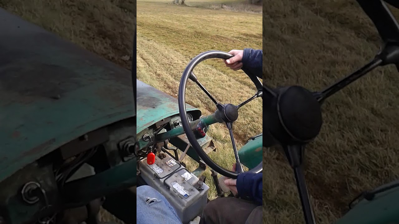 Güldner ADN zieht 4m-Wiesen-Hexe *Sound*