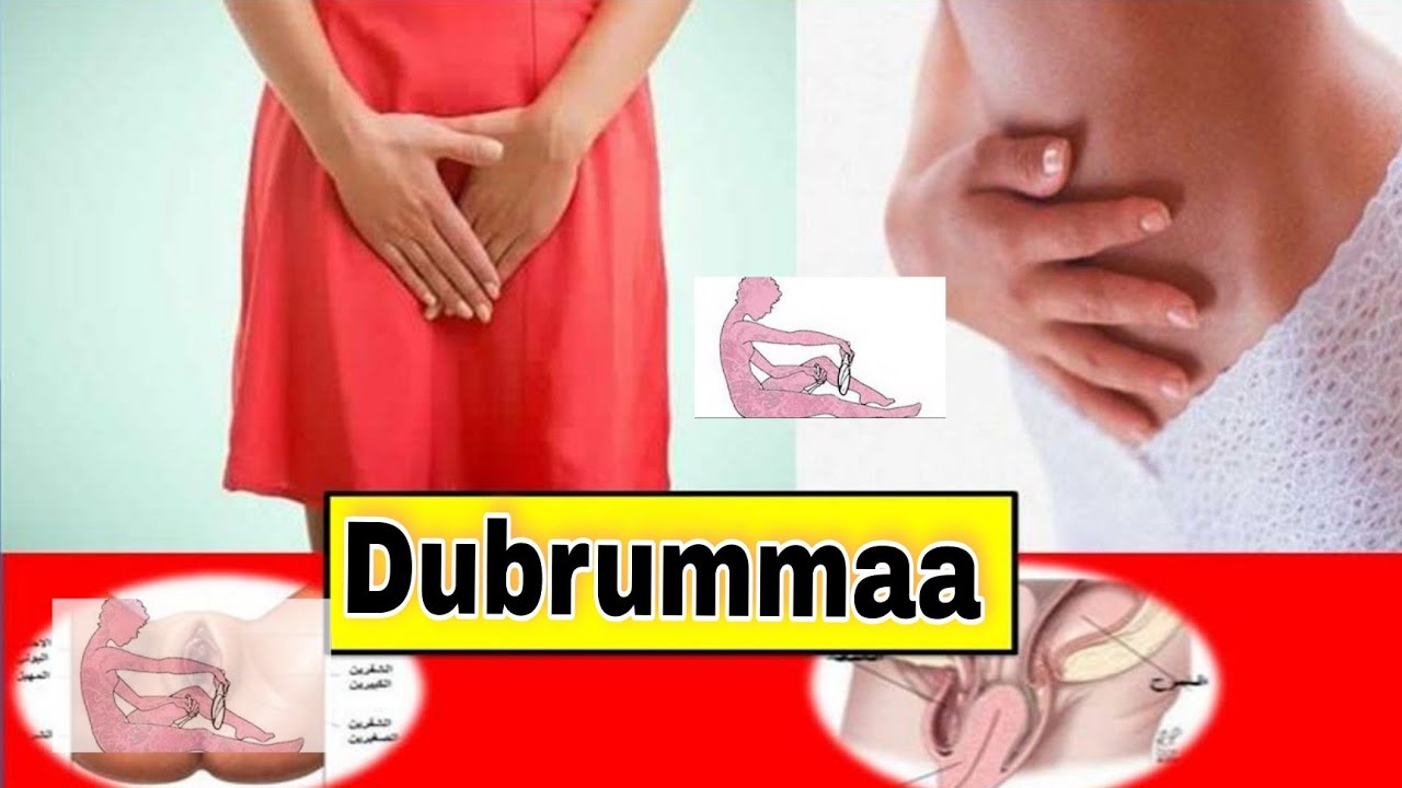 Dubrummaa deebisuu fii qaama salaa dhira guddisu