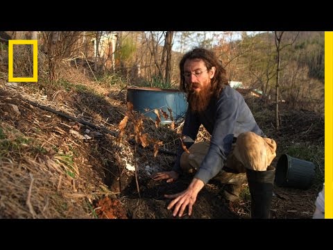How to Plant a Tree | Live Free or Die: DIY