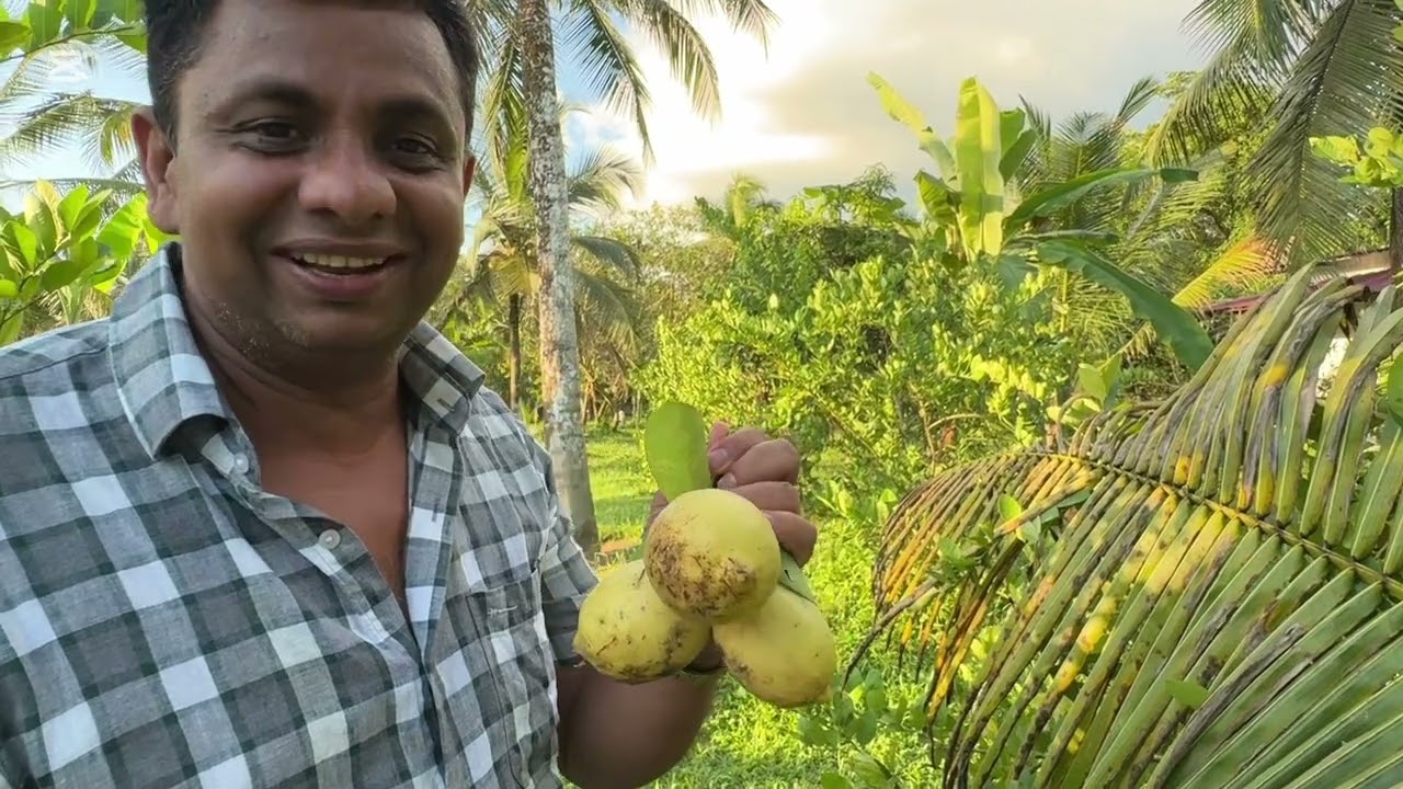 ගොවිපළ .... ❤️❤️❤️❤️