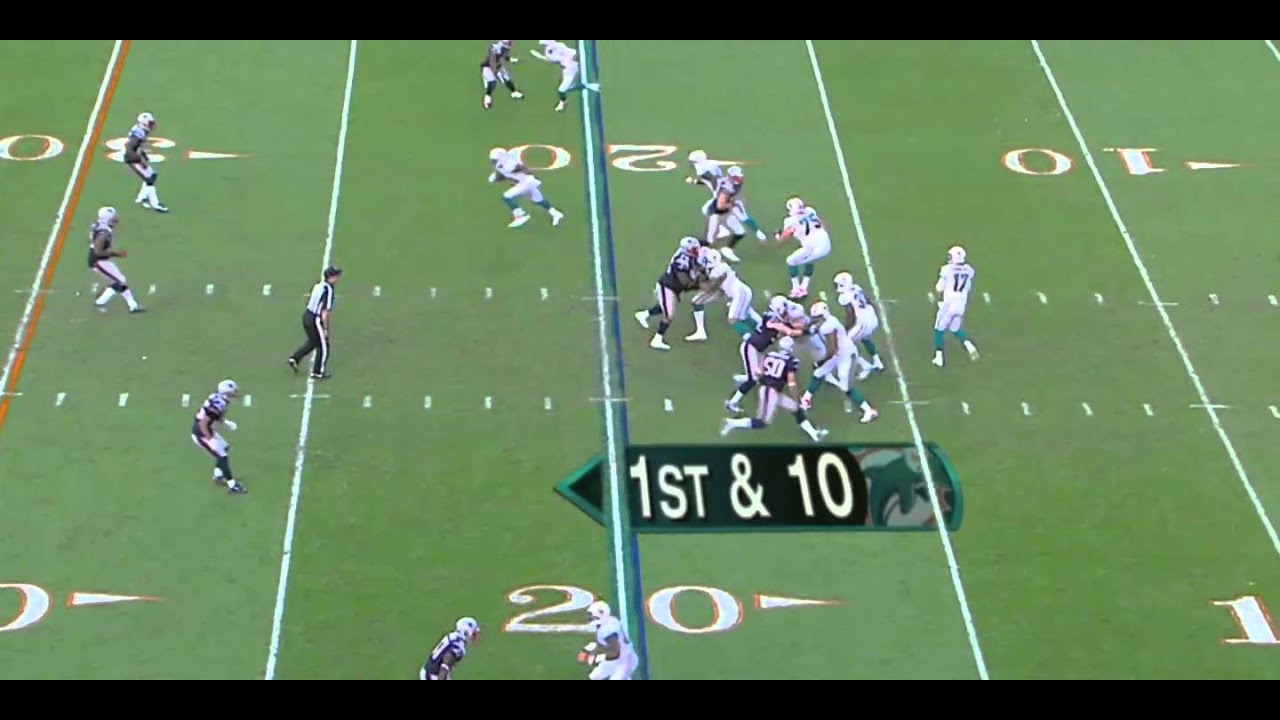 Rishard Matthews 28-yard reception vs Patriots 2012