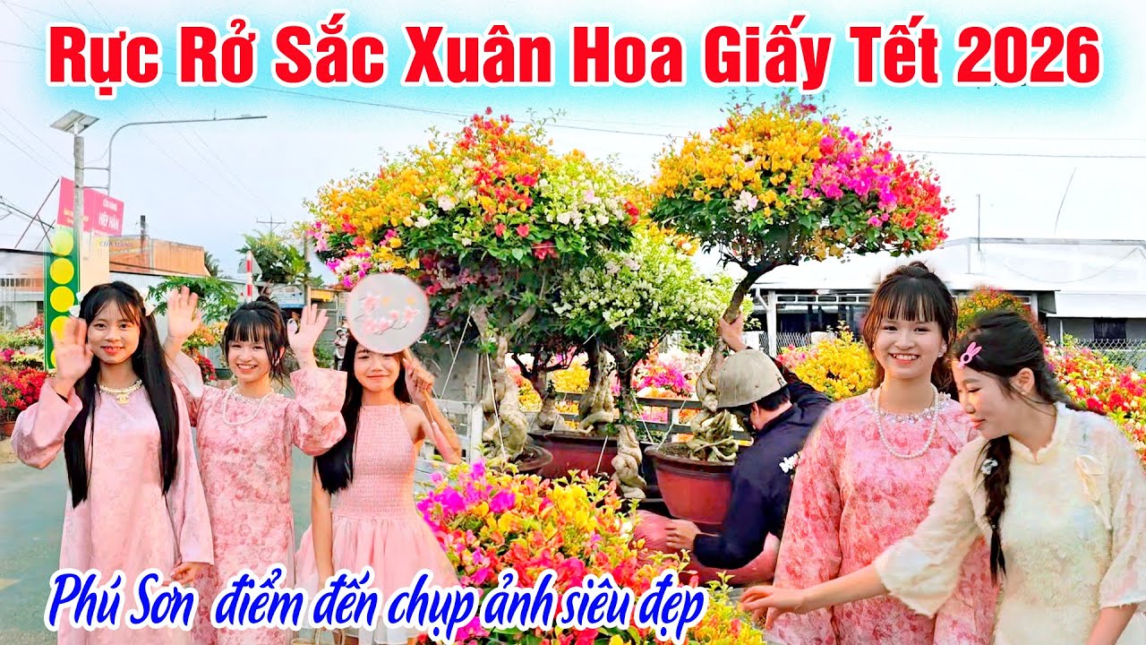 Làng Hoa Giấy Phú Sơn - Đểm Chụp Ảnh Siêu Đẹp Cùng Muôn Sắc Hoa Nở Rộ