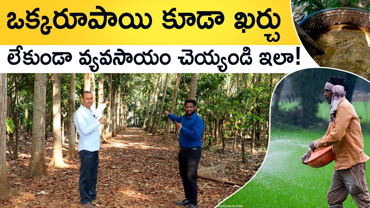 Natural Farming In Telugu - How To Do Organic Farming In Telugu | 0 Budget Farming Tips|@ffreedomapp