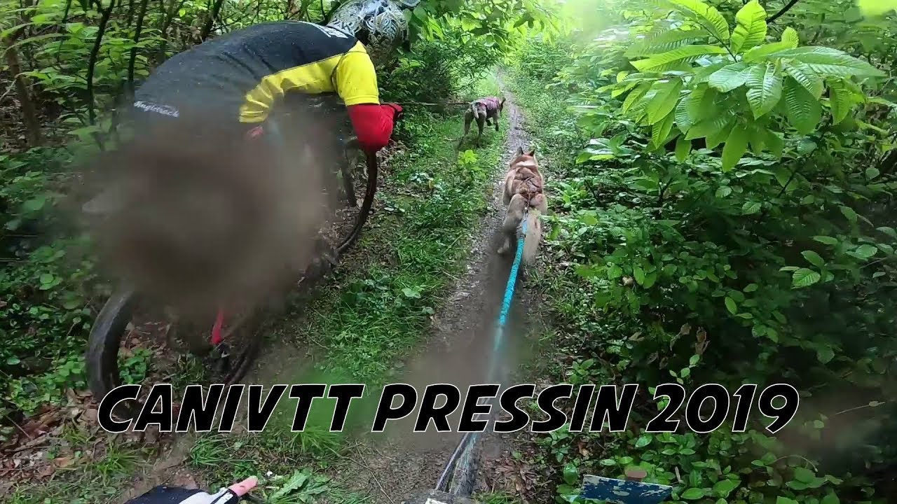 CaniVTT GoPro Pressin 2019  chute + dérailleur cassé