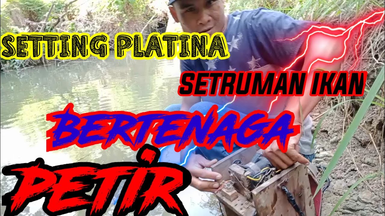 SETTING PLATINA SETRUM IKAN YANG AMPUHH DAN BERTENAGA PETIR