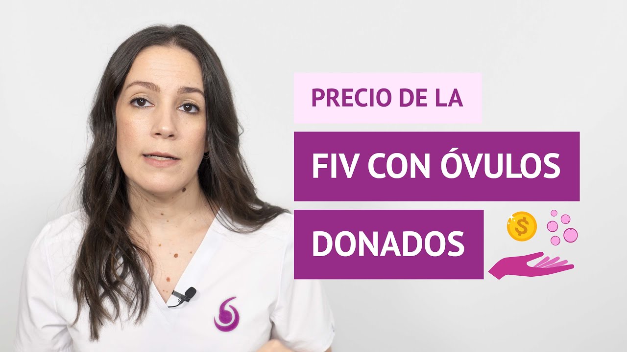 &iquest;Cu&aacute;l es el precio de la FIV con ovodonaci&oacute;n en Espa&ntilde;a?