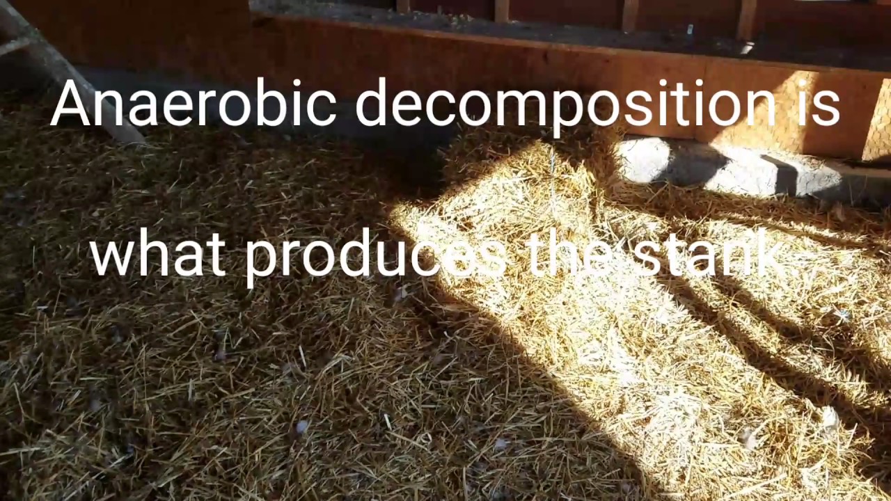 Deep Bedding System for Chicken Coops