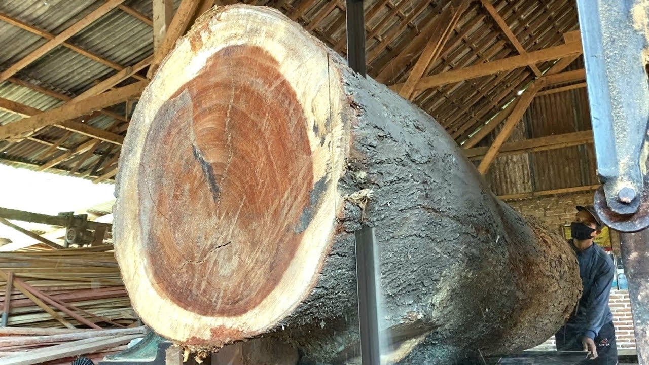 Extreme Challenge: Sawing a Giant Saman Wood for an Taiwan Exclusive Table