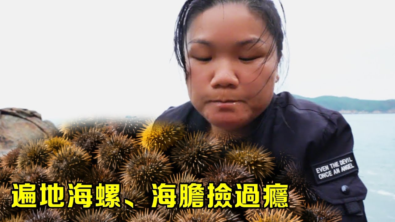小漁淩晨無人島趕海，遍地海螺、海膽撿過癮，竟還有野生大石斑【漁小仙】