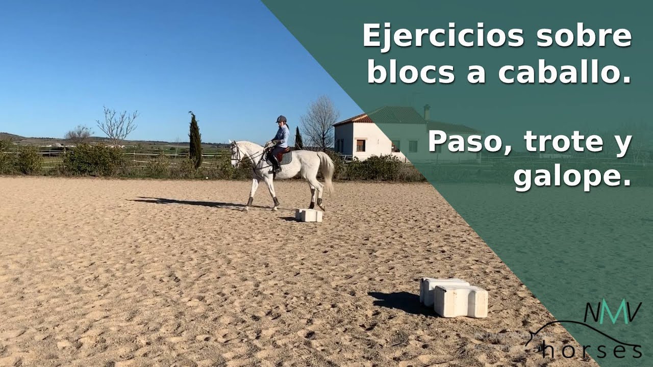 🐴Ejercicios para tu caballo sobre blocs🐴Nivel FÁCIL y MEDIO🐴Paso, trote y galope