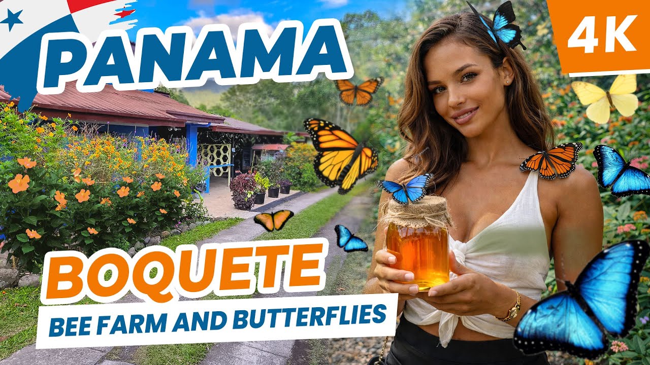 [4K] 🇵🇦 Thousands of Butterflies in One Place - Boquete, Panama 4K