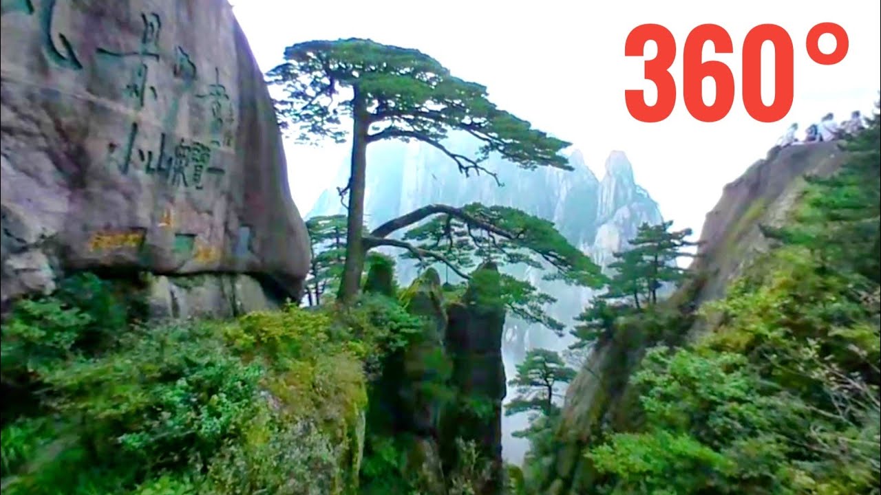 China Welcome Pine 迎客松 Old Tree with spectacular view Huangshan Mountain 黄山 [Best 360 VR video]
