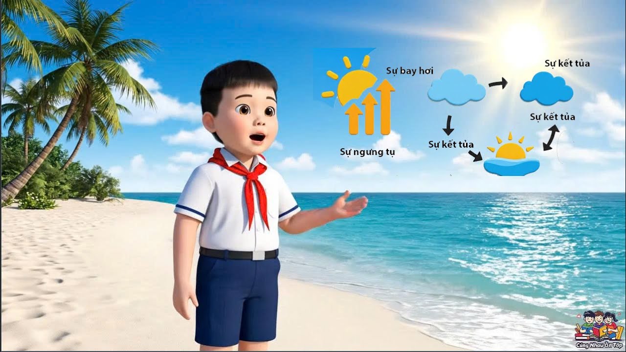 TÌM HIỂU QUY TRÌNH VÒNG TUẦN HOÀN CỦA NƯỚC