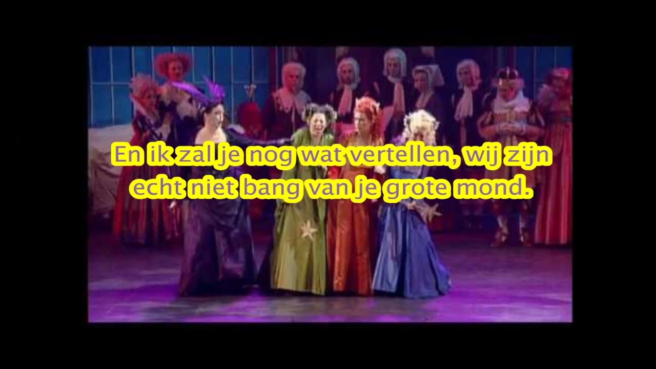 Weddenschap - Musical Doornroosje (lyeics)