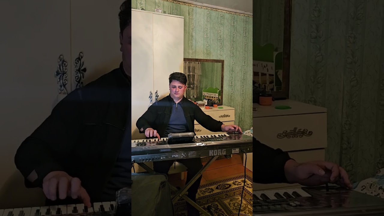 Mehmani havasi Ceyhun sintez #music #popuri #trending