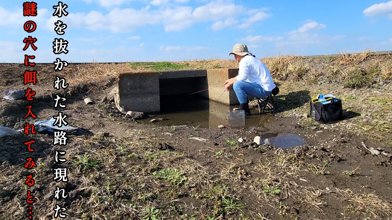 水が抜かれた用水路で釣りしたら…まさかの入れ喰いに！