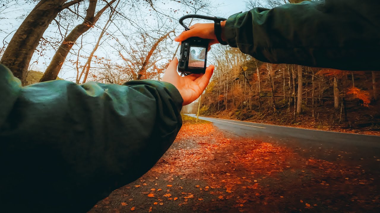 Nature Photography To CLEAR Your Mind (POV)