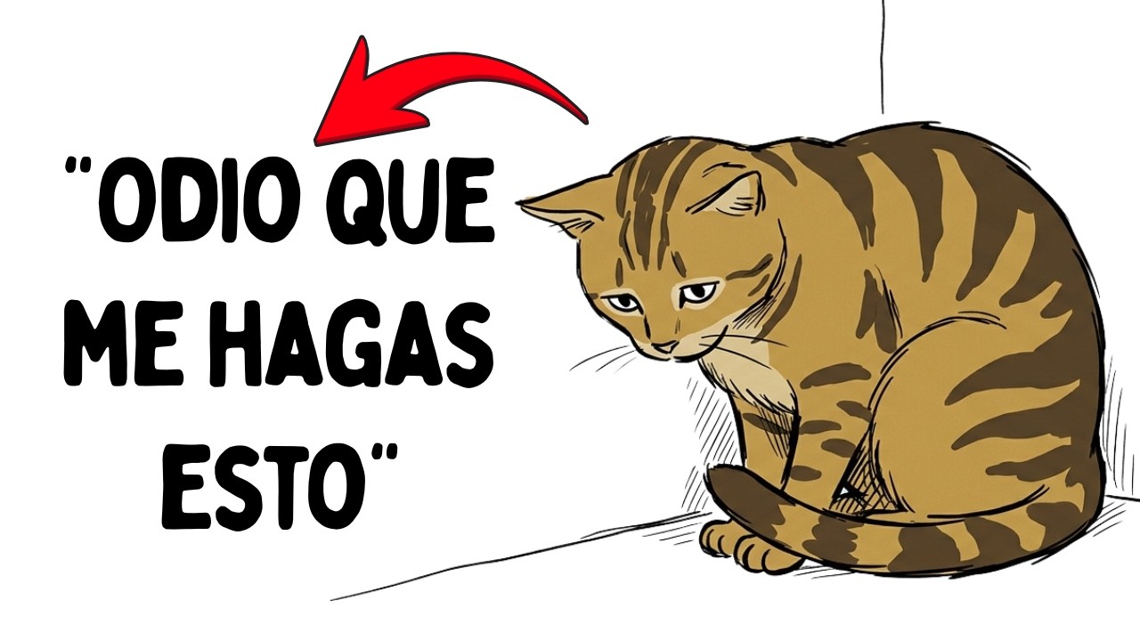 6 Cosas Normales que Están Hiriendo los Sentimientos de tu Gato