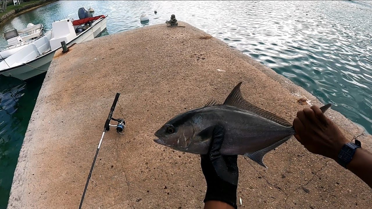 LURE FISHING BERMUDA | scouting spots and landing first almaco Jack on a lure