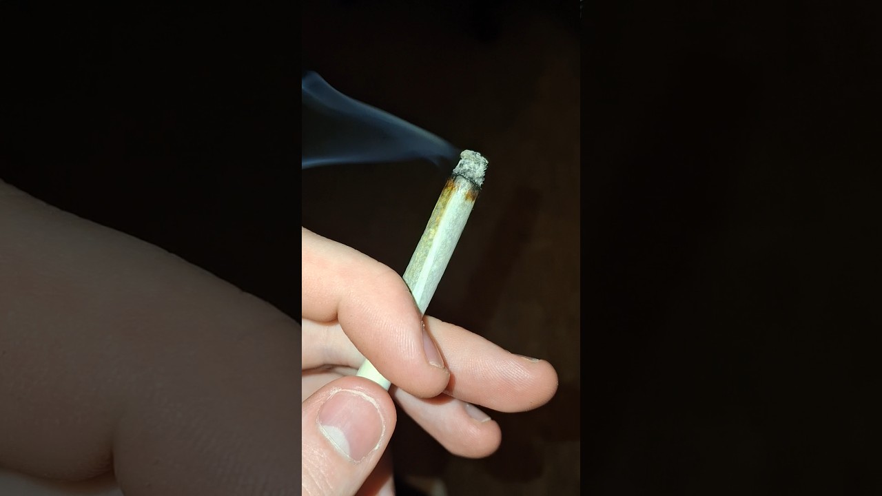 kush mints strain  Mintz#cannabiseducation #reccomended #feed #foryou #like #foryou