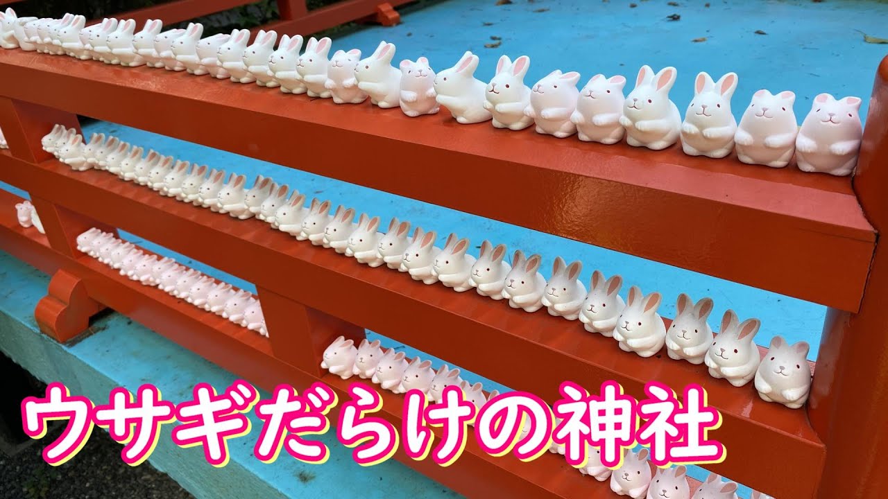 ウサギだらけの神社　京都　岡崎神社　okazaki jinja