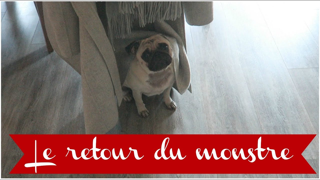 LE RETOUR DU MONSTRE ♡ VLOGMAS 13