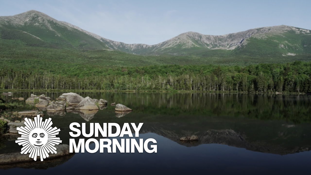 Nature: The woods of Maine