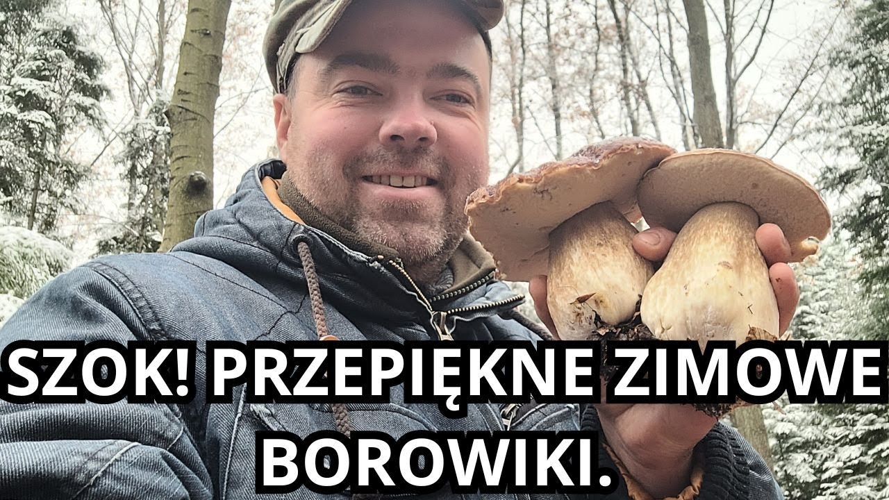 SZOK! PRZEPIĘKNE ZIMOWE BOROWIKI