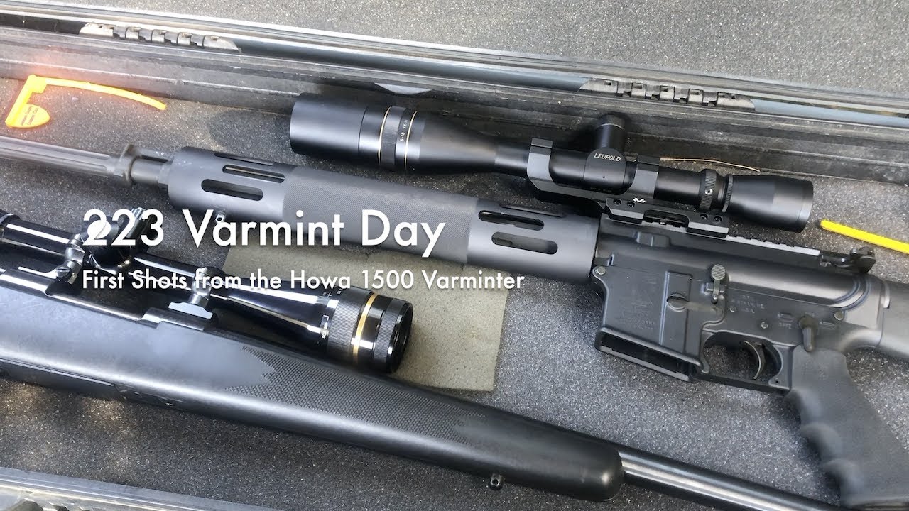 223 Varmint Day &mdash; первые выстрелы из Howa 1500 Varminter