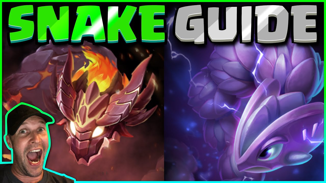 Sssnaker B GRADE Snake Guide & RANKING