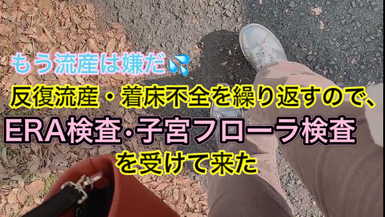【不妊治療】着床不全、反復流産が続くのでERA検査と子宮フローラ検査やを受けてきました。