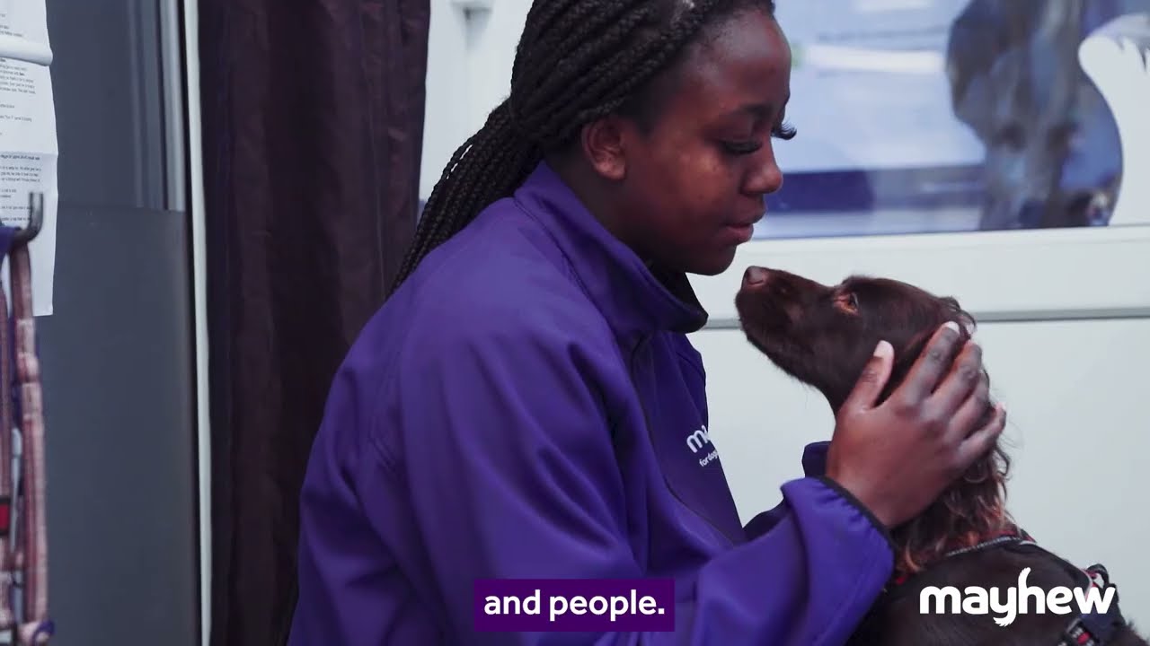At Mayhew, we know that dogs and cats are more than just pets...