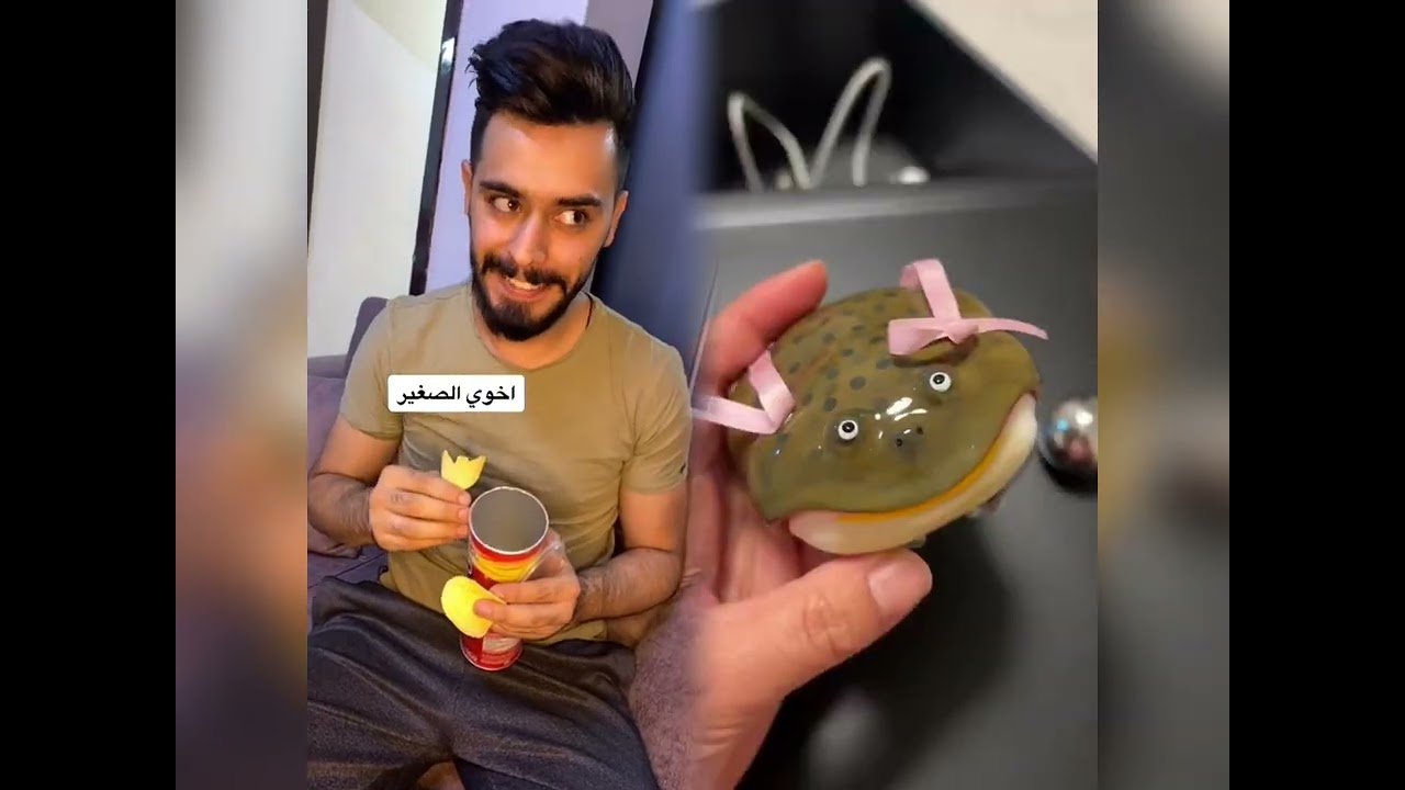 🤣👌👌👌2026 pov مجموعة مقاطع مجنونة لا بد من مشاهدتها #humor #fypシ #pov #fyp #foryou 😍😜