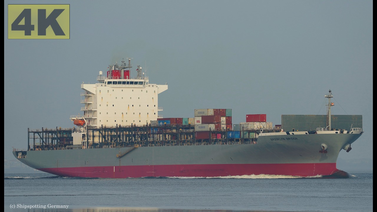 BROOKLYN BRIDGE - Shipspotting Germany 🇩🇪 IMO 9458999 - River Elbe near City Otterndorf - 4K VIDEO
