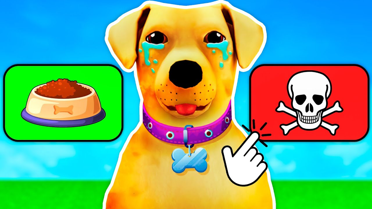 Ich habe die SCHLECHTESTEN ENTSCHEIDUNGEN für meinen HUND GETROFFEN in Dog Life!