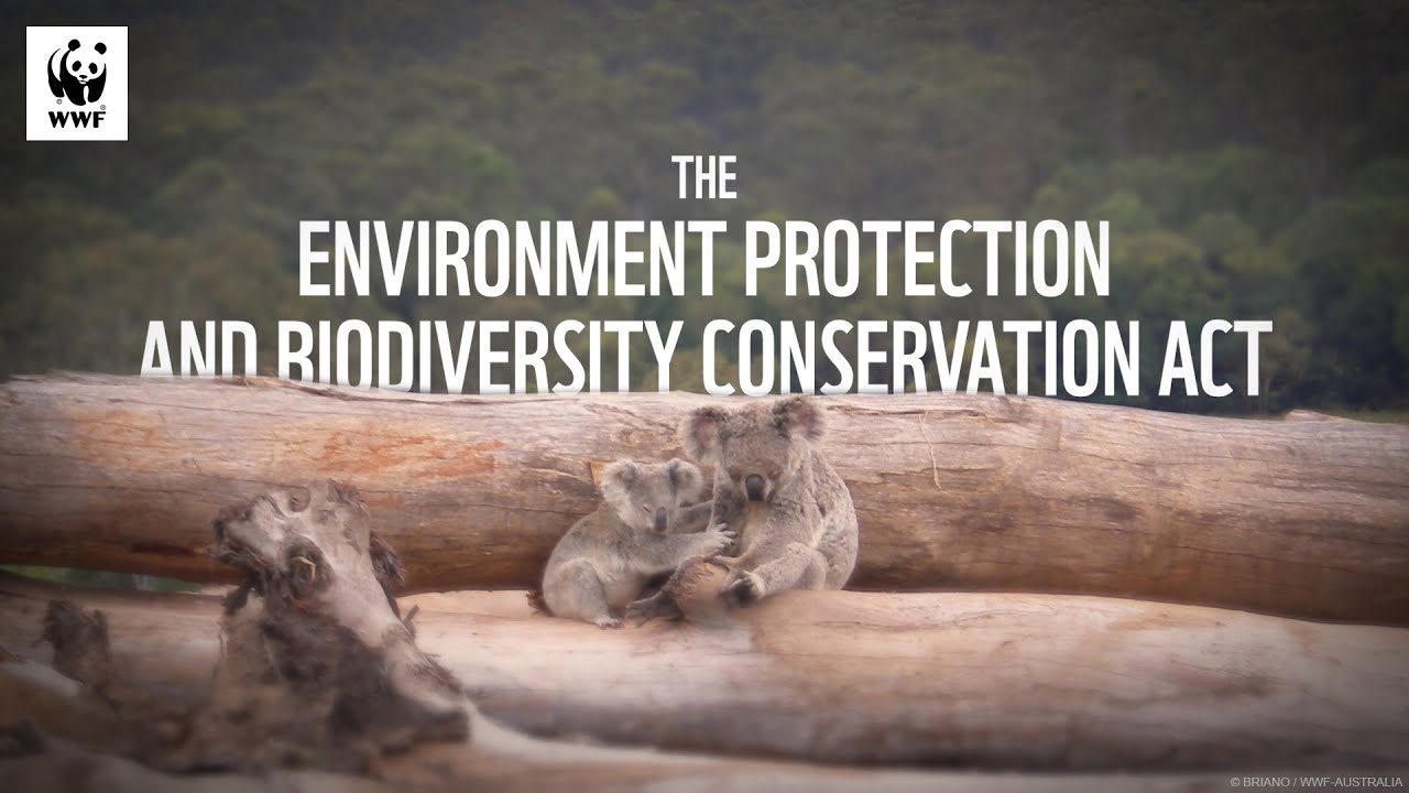 Australia's Nature Laws Failing Our Wildlife | WWF-Australia