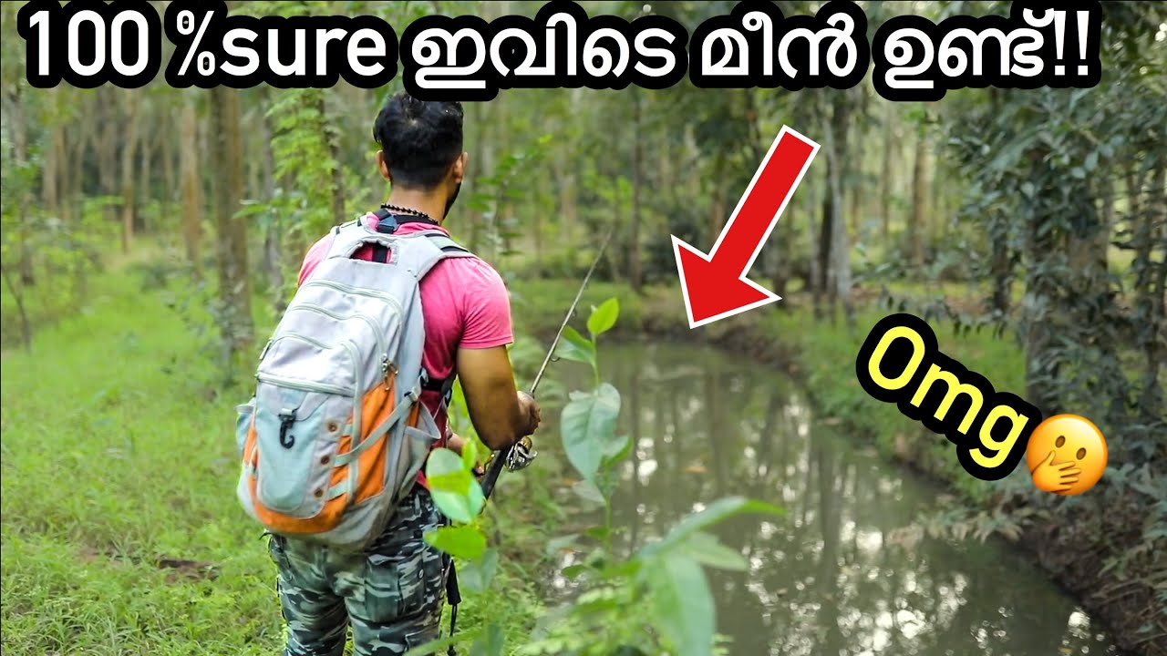 നല്ല നാടൻ വരാല് പിടിച്ചു “പാല് പിഴിഞ്ഞ” കറി!!ആഹാ അടിപൊളി 🤤🤤| Snakehead fishing and Cooking Kerala