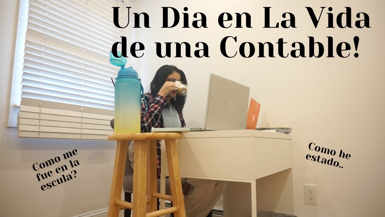 Un dia en La Vida de una Contable!