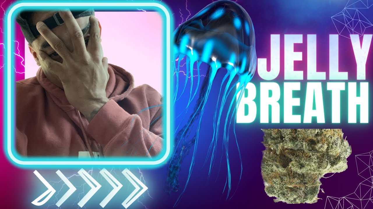 How To Expose The Secrets Of  Jelly Breath  Exotic Strain Review