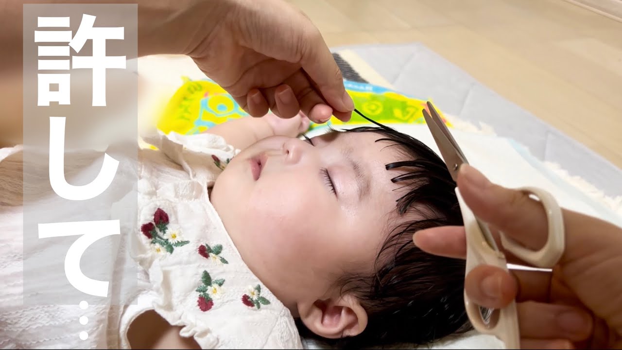 人生初ヘアカット.ぱちくりちゃんが大人になって動画を見返した時に怒られる覚悟をしましたw/My first haircut was a big mistake