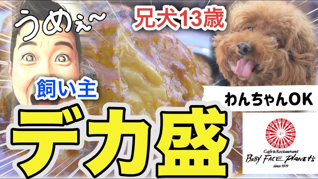 【爆食】3プードルと行ったら量バグってたw【ベビーフェイス四日市笹川】