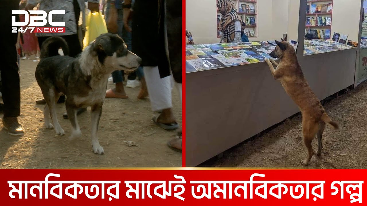 ভাইরাল কুকুরের নেপথ্যের ঘটনা! | DBC NEWS SPECIAL