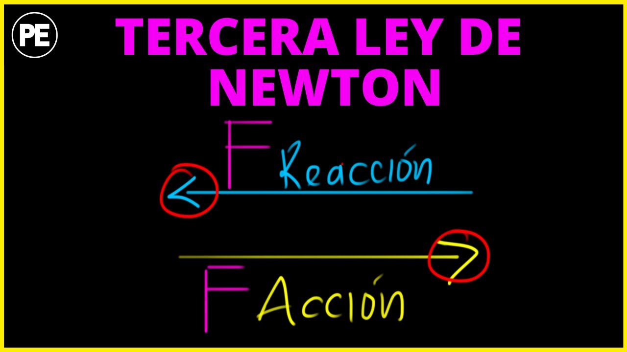 TERCERA LEY de NEWTON - EXPLICACIÓN Y EJERCICIOS RESUELTOS