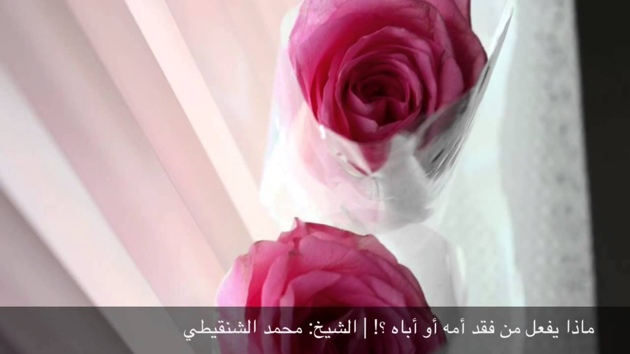 ماذا يفعل من فقد أمه أو أباه ؟! | الشيخ: محمد الشنقيطي