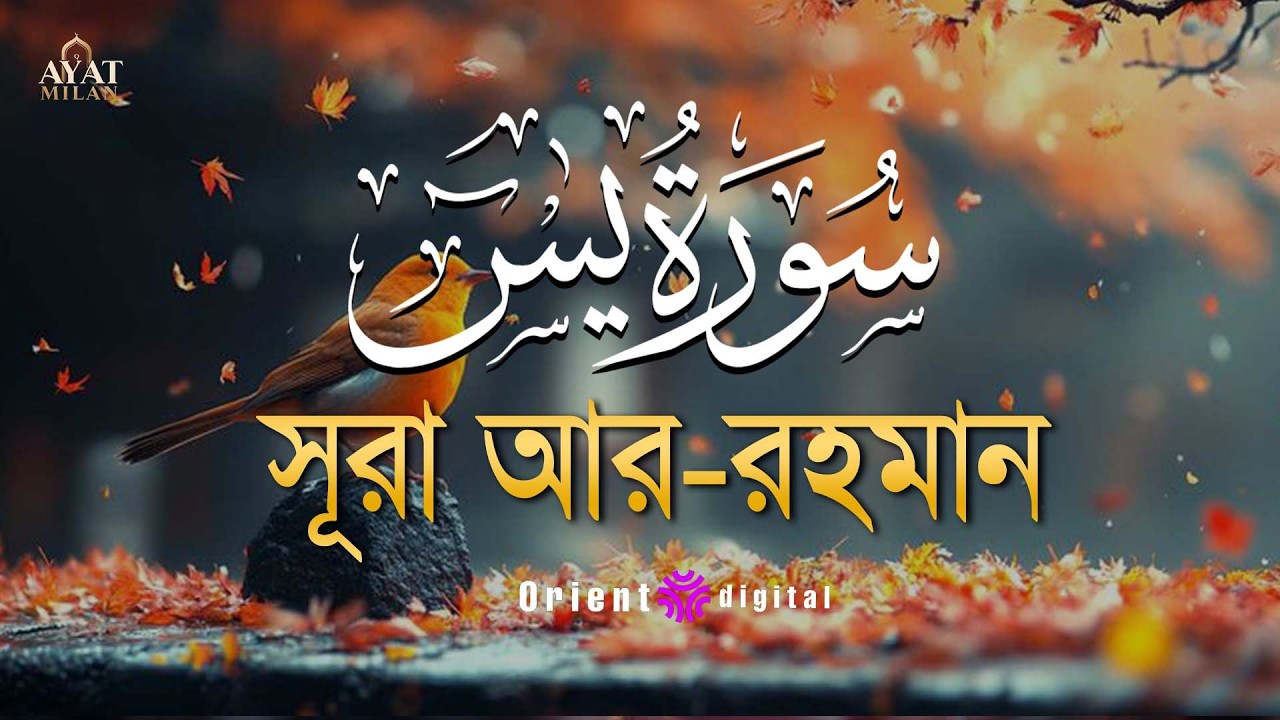 অন্তর শীতল করা সূরা ইয়াসিন এর তিলাওয়াত ┇ Surah Yasin Recited by Ahmed Kaseb