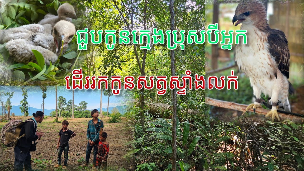 ជួបក្មេងបីអ្នកដើររកកូនសត្វស្ទាំងលក់
