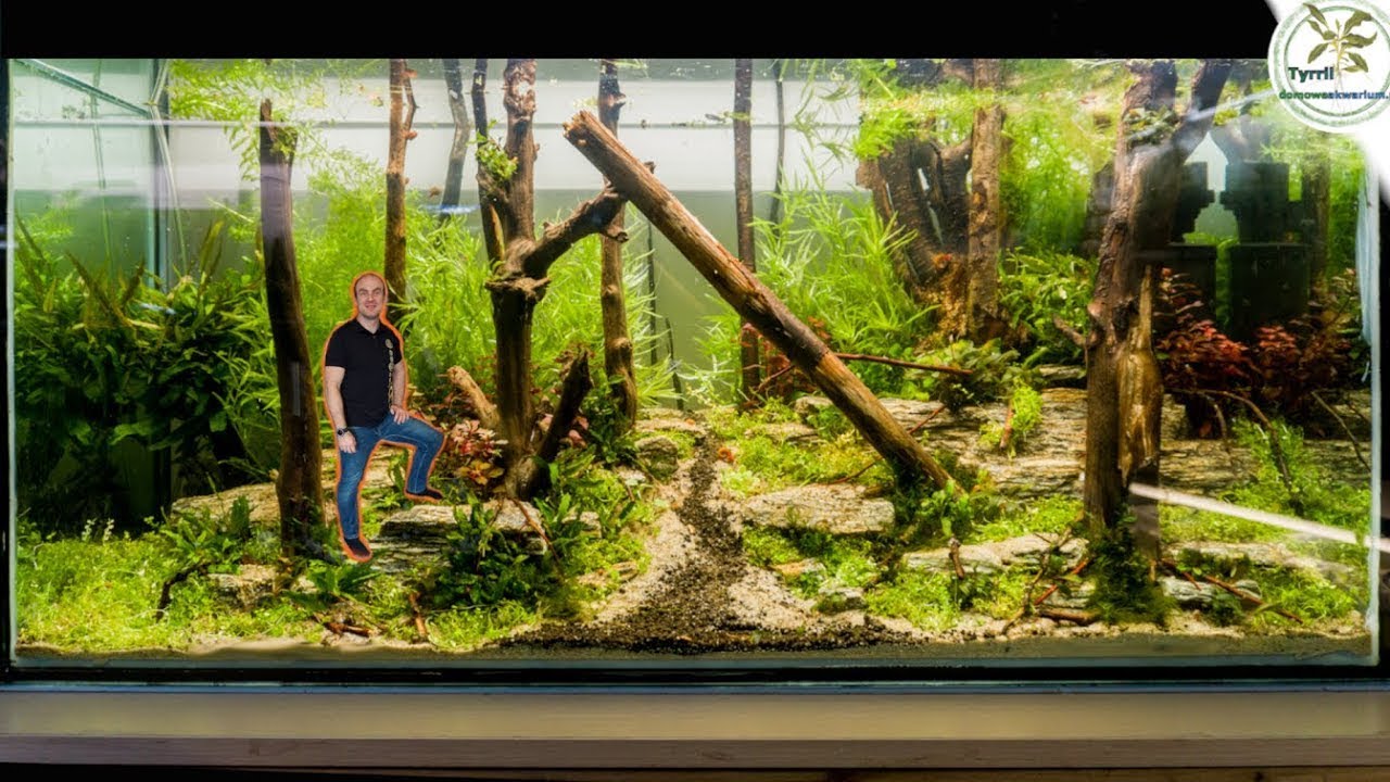 Zakładanie 200l akwarium. Krok po kroku.  #akwarium #aquascaping