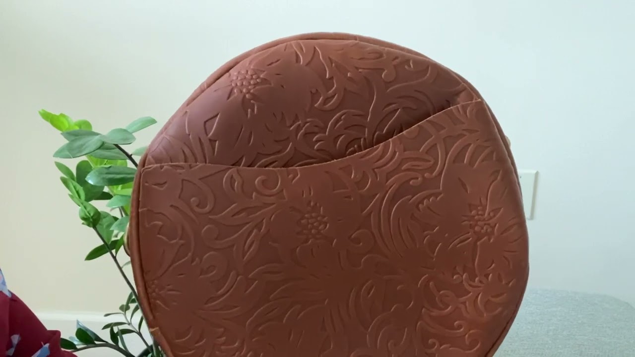 PLG Large Circle Crossbody (In Meadow!) vs. Small Circle