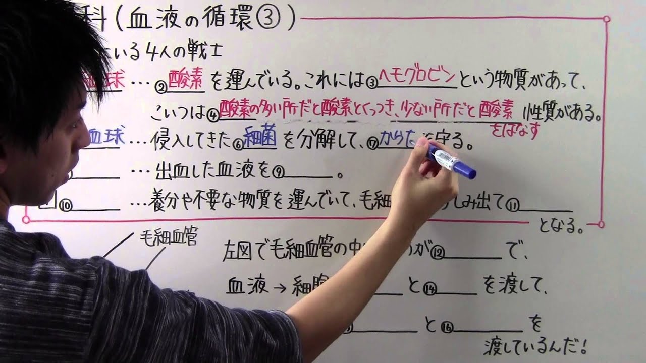 【理科】中2-23 血液の循環③
