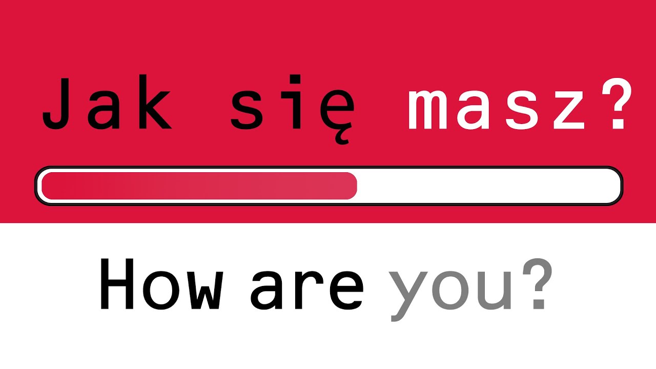 Learn Polish for beginners! Learn important Polish words, phrases & grammar - fast!
